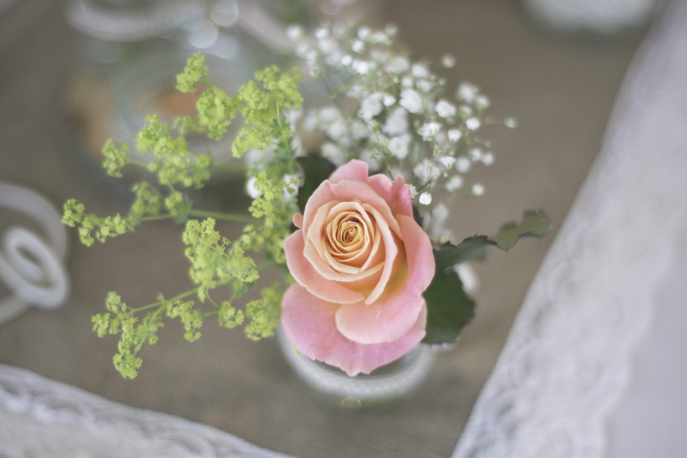 Georgina Brewster Photography