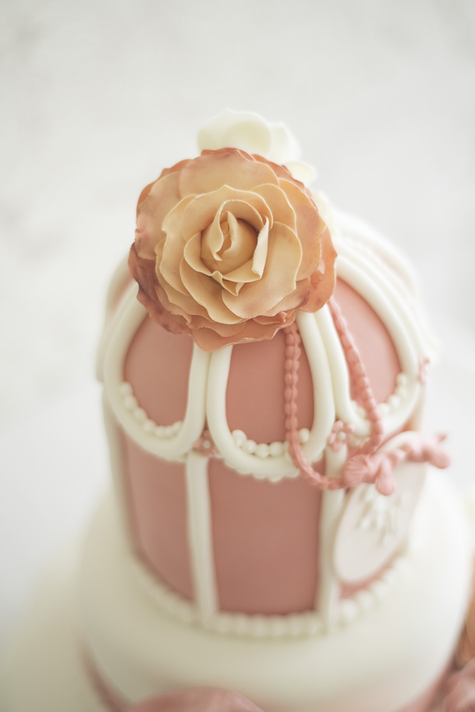 Georgina Brewster Photography