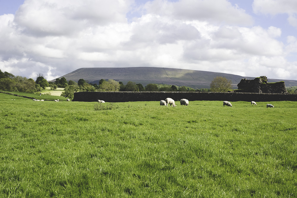 Georgina Brewster Photography