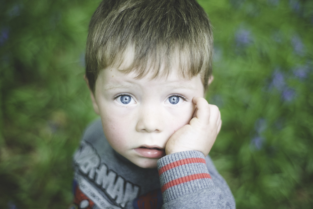 Bluebell-14.jpg Bluebell-14.jpg