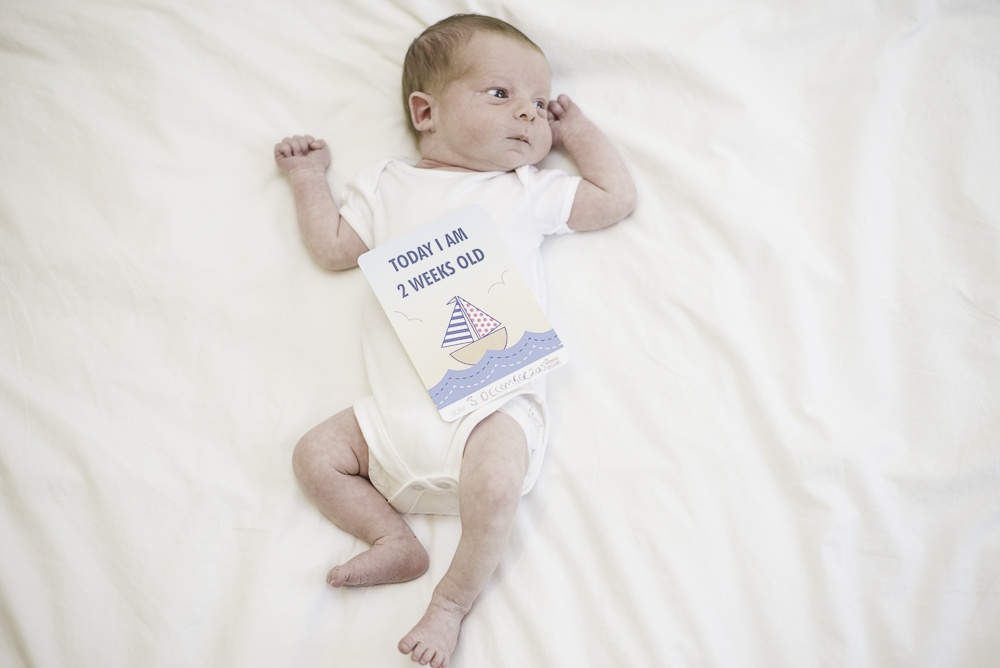 Isaac-8.jpg Isaac-8.jpg