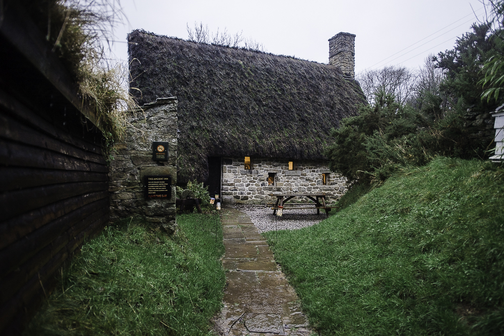 Healy-74.jpg