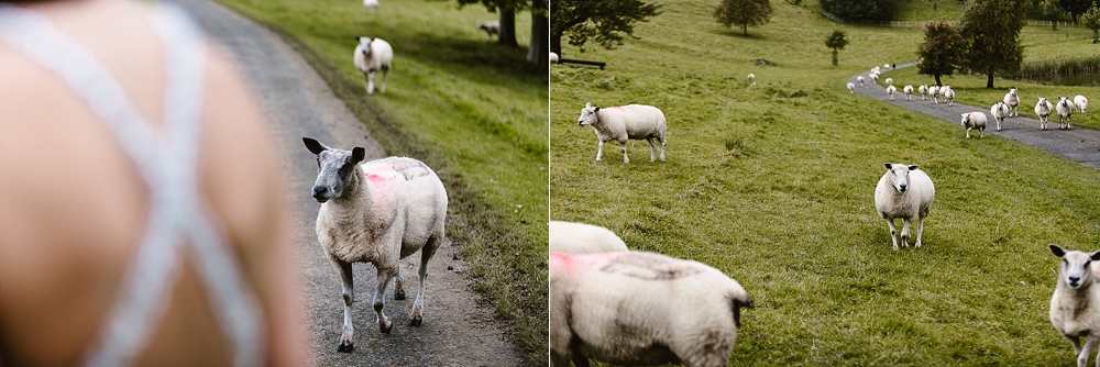 skipton-wedding-photographer-Coniston-hall-wedding-photography_0025.jpg