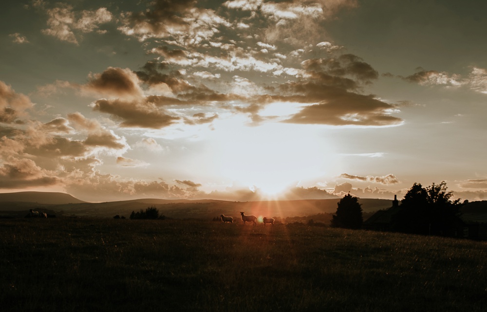Yorkshire Wedding Photographer