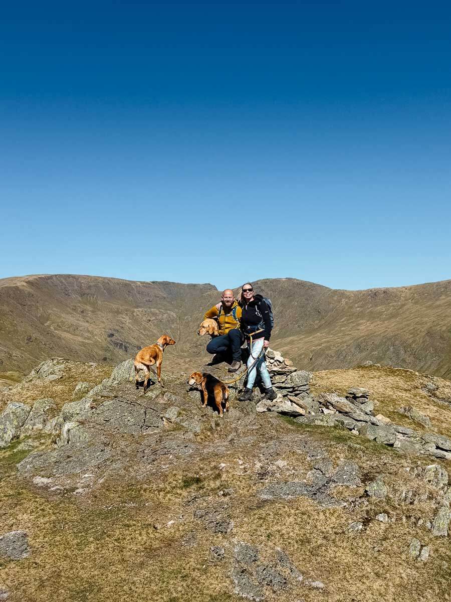Hikers enjoy mountain summit views with dogs under clear skies