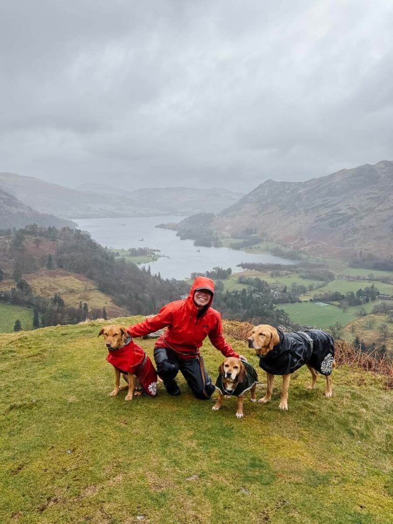 Person with dogs enjoying a scenic hilltop view in raincoats